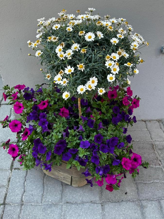 Haus Floralp Apartment Zermatt Luaran gambar